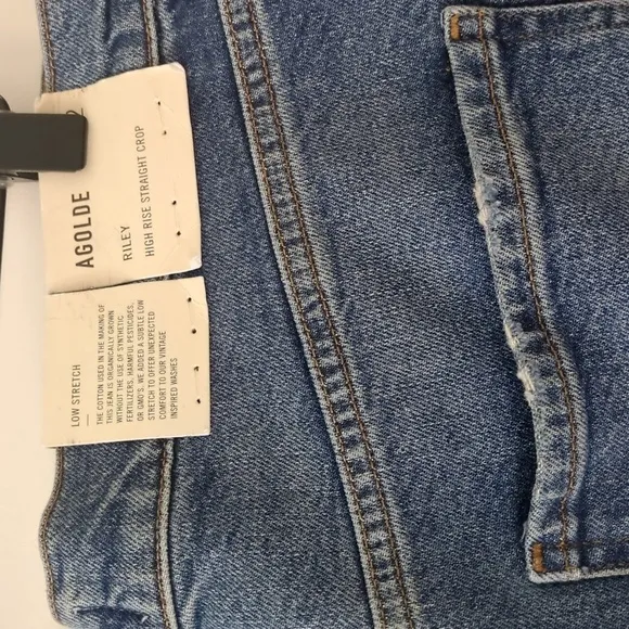 AGOLDE Revolve x Free people x Anthropology Riley crop high rise straight jeans