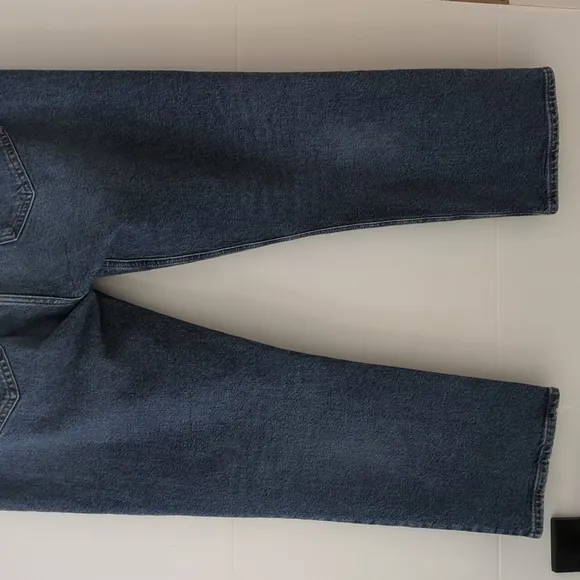 AGOLDE Revolve x Free people x Anthropology Riley crop high rise straight jeans