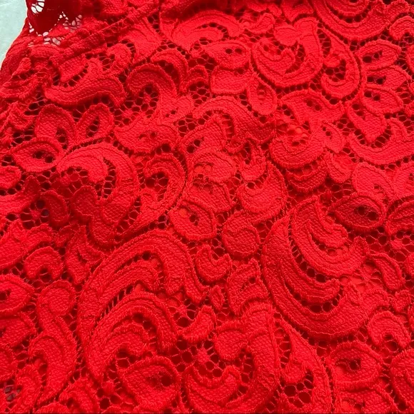 Alexia Admor - Red Lace Sheath Dress