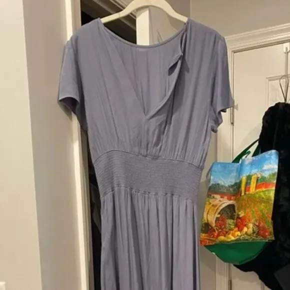 Aritzia Wilfred Maxime Dress
