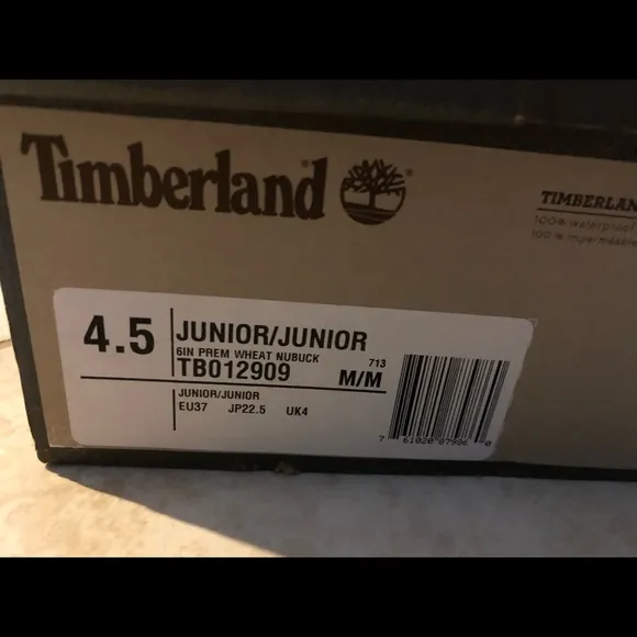 Big Kids Timberland boots