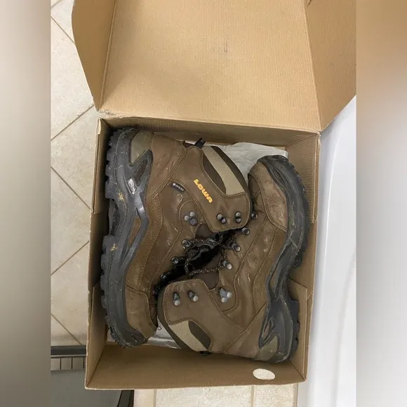 Lowa renegade gtx boots