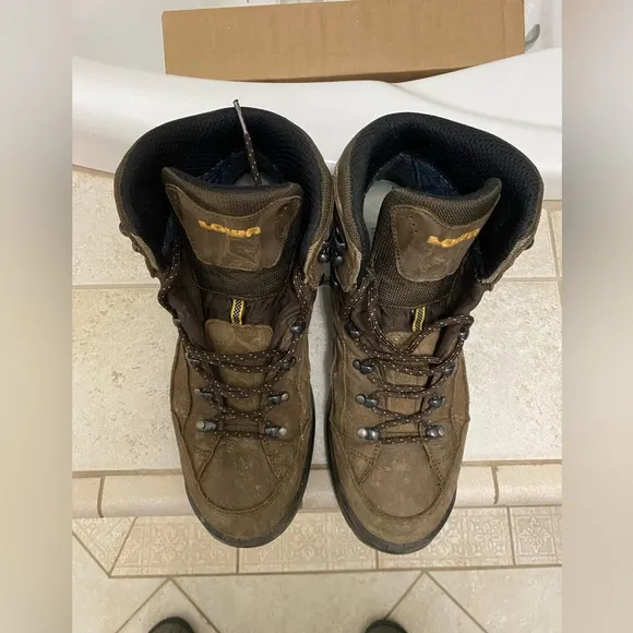 Lowa renegade gtx boots