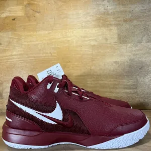 NEW Nike LeBron NXXT Gen PROMO 18 PE Mens Size 10 Basketball Shoes Gym Red