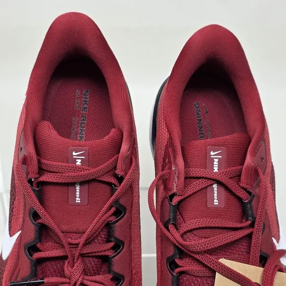 Nike Air Zoom Pegasus 41 Arizona Cardinals Running Shoe FZ5077-600 Men Sz 10 New