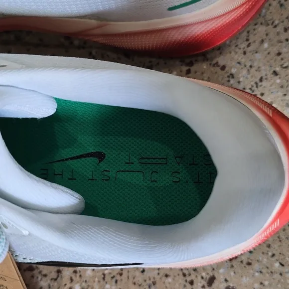 Nike Air Zoom Pegasus 41 Eluid Kipchoge Runners