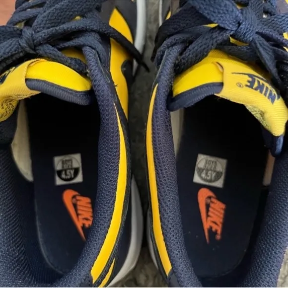 Nike Dunk Low Michigan