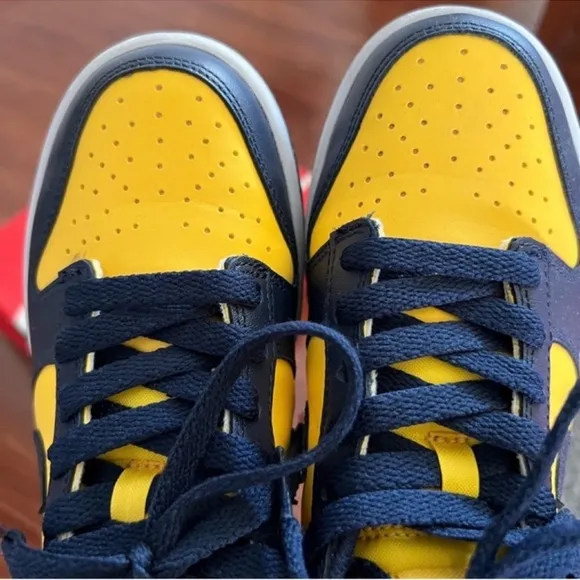 Nike Dunk Low Michigan