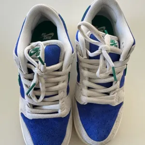 Nike SB Blue and White Sneakers