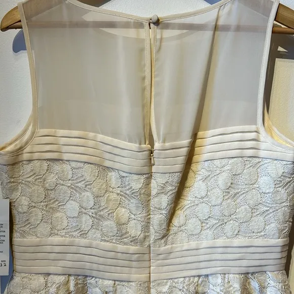 NWT Adrianna Papell Nordstrom Size 12 Cream lace wedding dinner theater dress