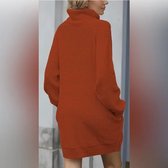 NWT Women's Loose Turtleneck Oversize Long Pullover Sweater Dress