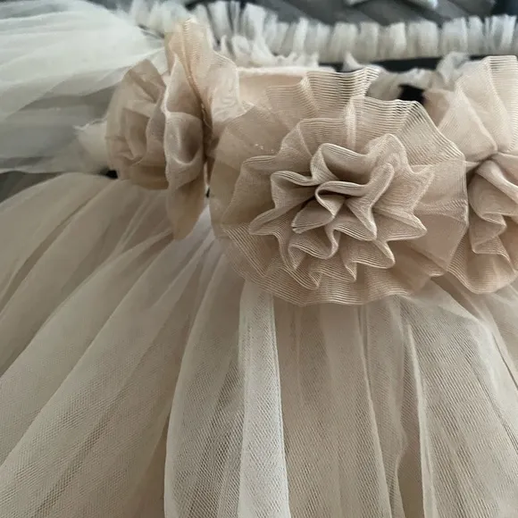 Petite Maison Coco - Caramel Tulle dress! 3 T.