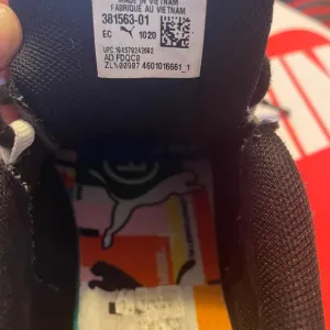 Puma rs