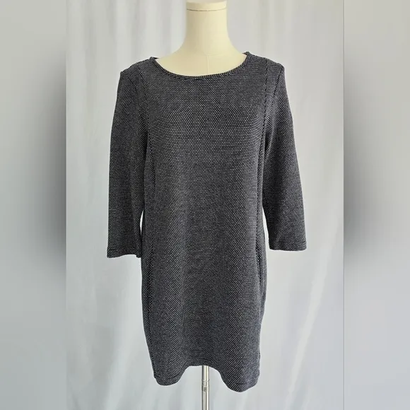 Seasalt Cornwall Navy &amp; Dot Mini Cotton Shift Dress 3/4 Sleeves &amp; Pockets Sz. 6